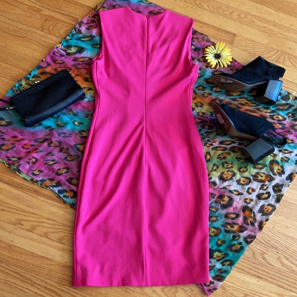 🌺 Diane von Furstenberg; STUNNING Fuschia Dress 0 - Picture 7 of 16